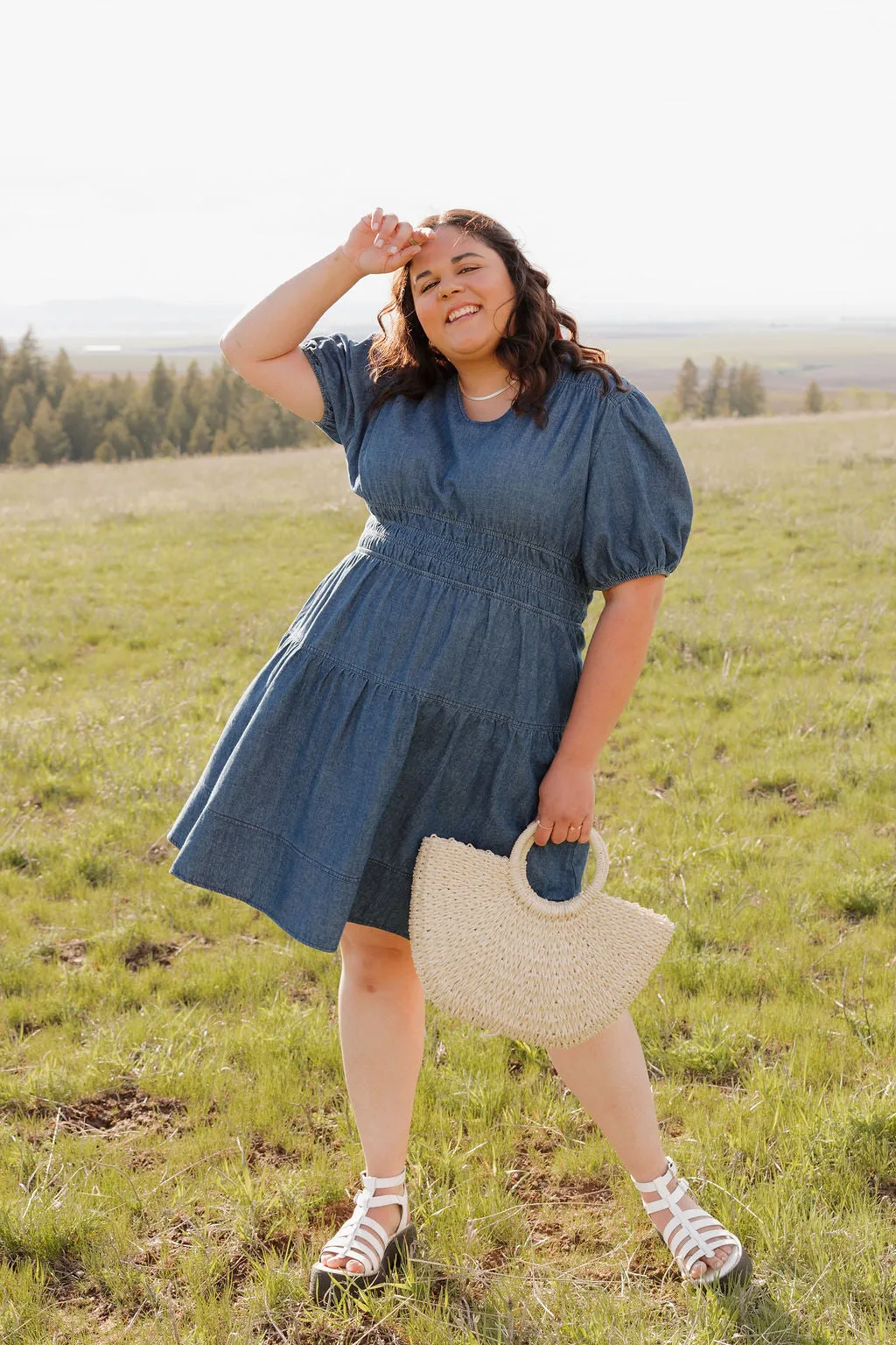 Addie Dress-Denim