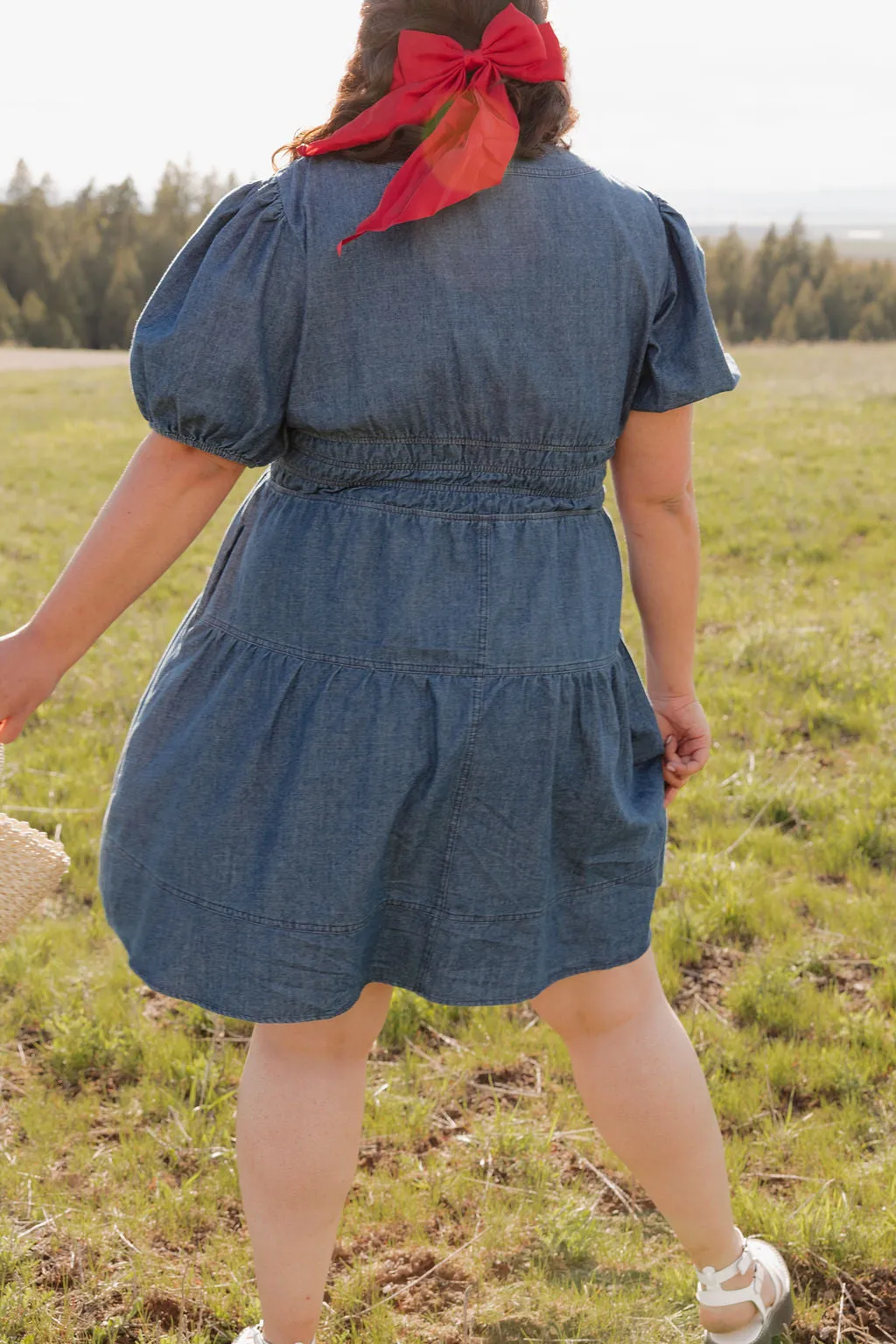 Addie Dress-Denim