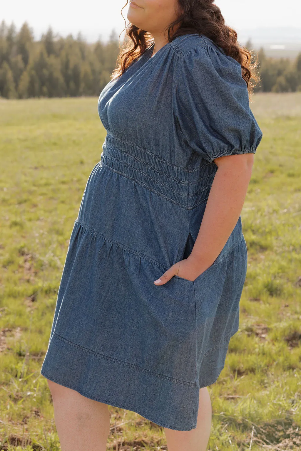 Addie Dress-Denim