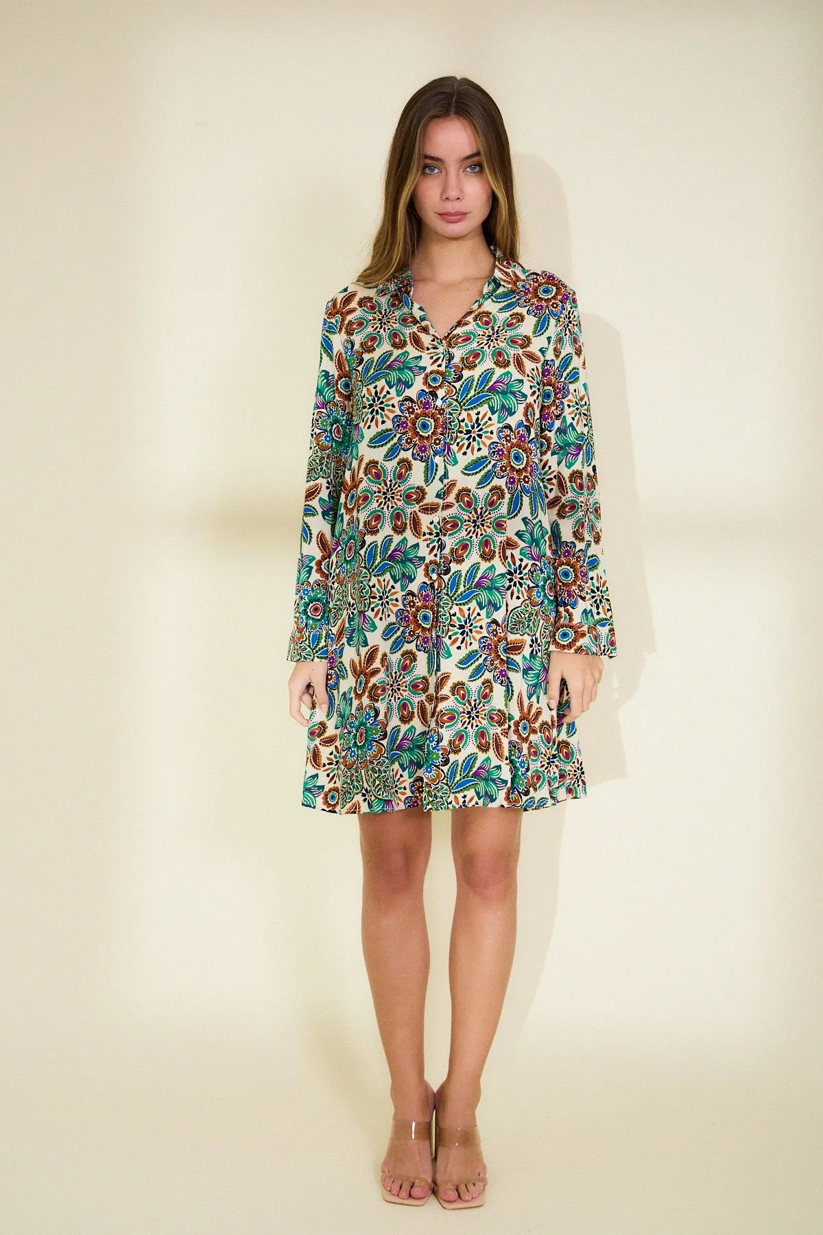 Amelia print shirt dress