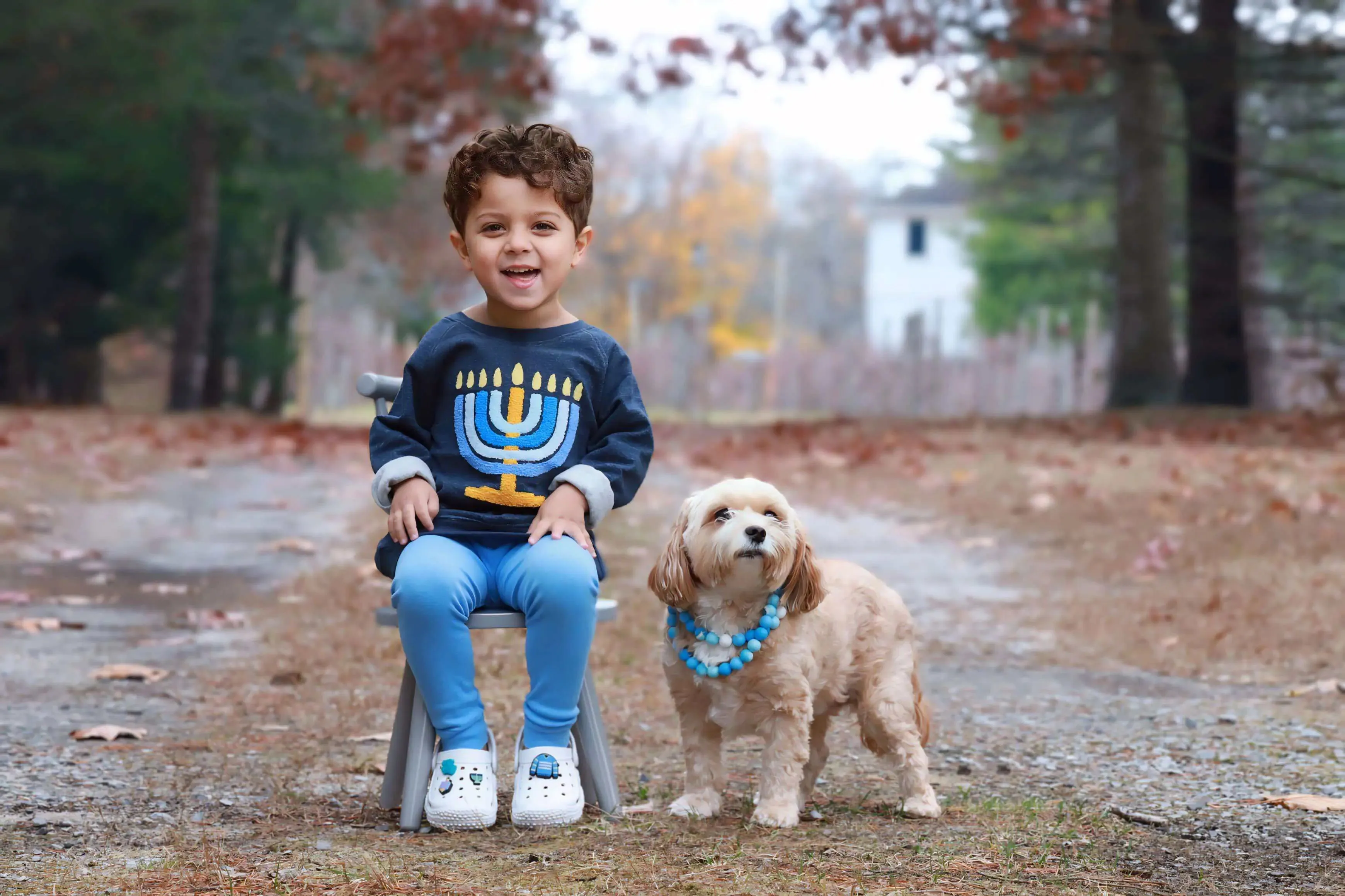 Embroidered Crewneck Sweatshirt_Dreidel Dreidel