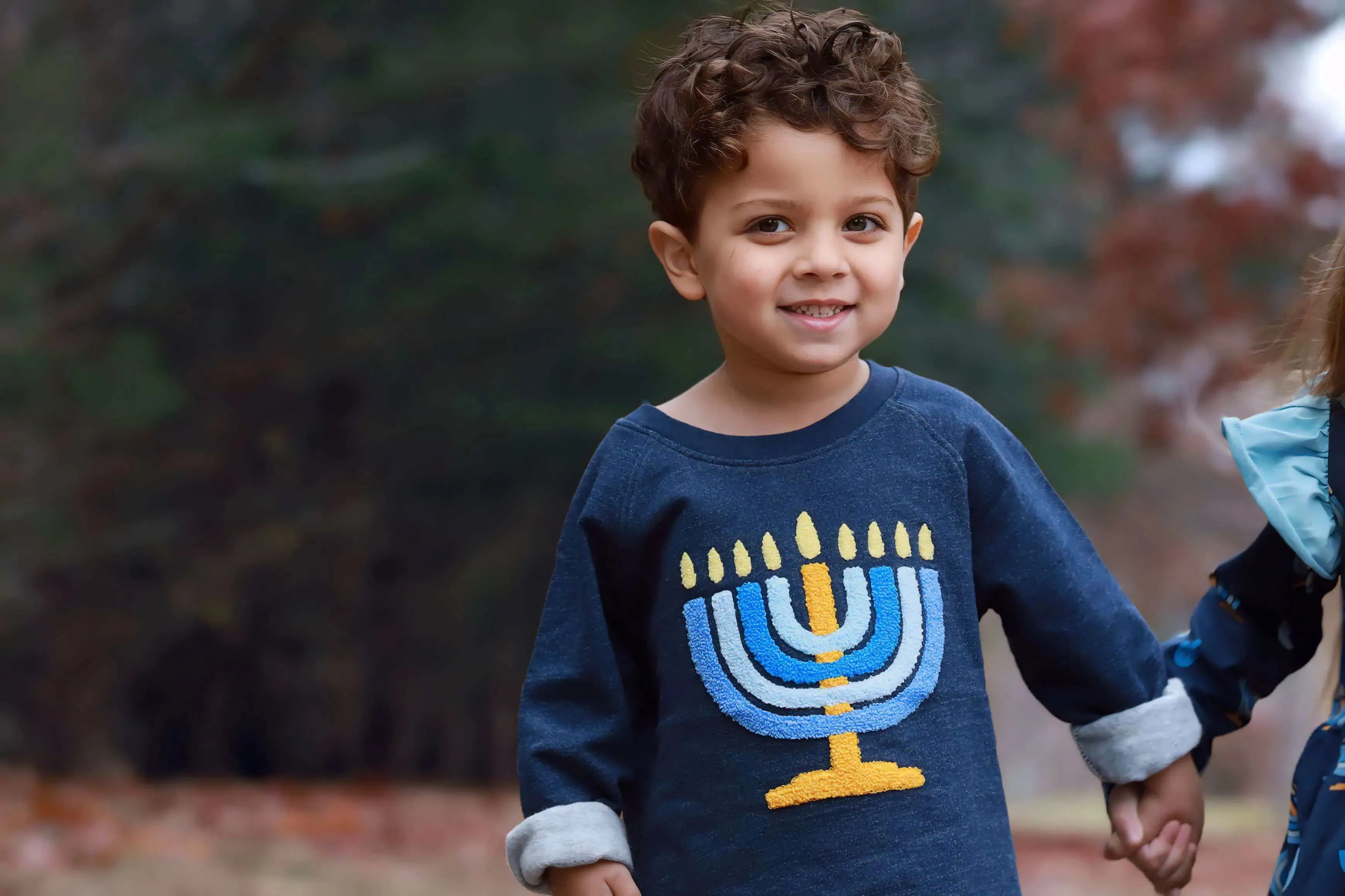 Embroidered Crewneck Sweatshirt_Dreidel Dreidel