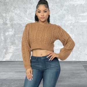 Long  Sleeve Crop Cable Pullover Sweater Top